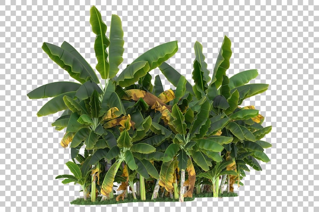 Wald auf transparentem Hintergrund. 3D-Rendering - Abbildung