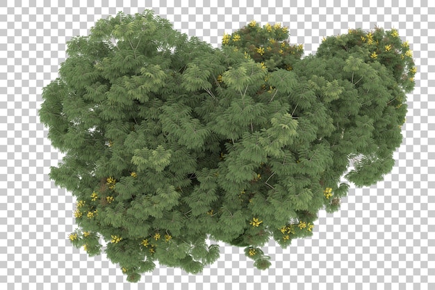 Wald auf transparentem Hintergrund. 3D-Rendering - Abbildung