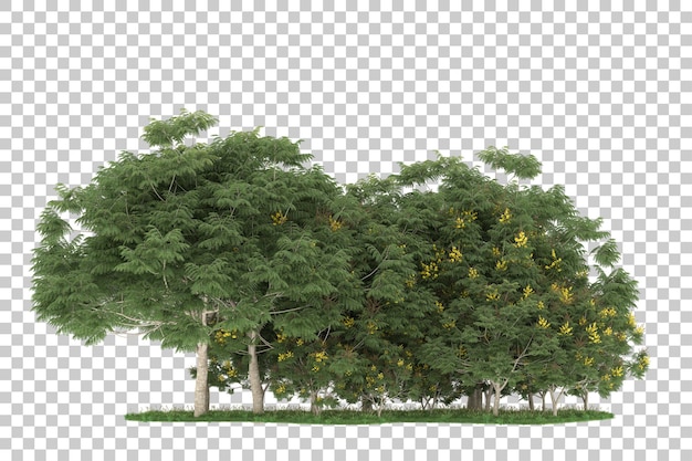 Wald auf transparentem Hintergrund. 3D-Rendering - Abbildung