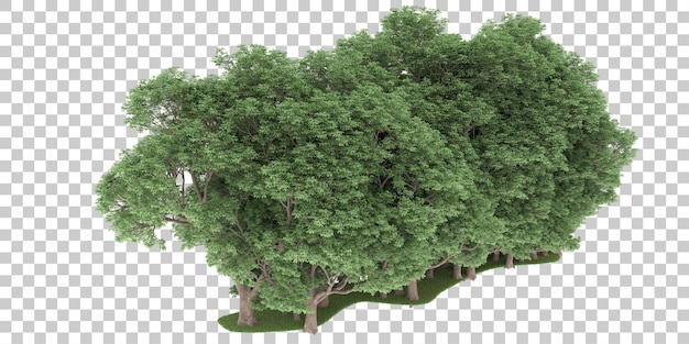Wald auf transparentem Hintergrund. 3D-Rendering - Abbildung