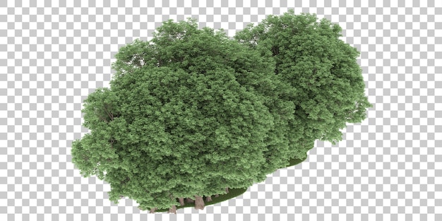 Wald auf transparentem hintergrund. 3d-rendering - abbildung