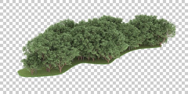 Wald auf transparentem Hintergrund. 3D-Rendering - Abbildung
