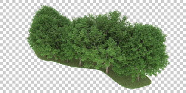 Wald auf transparentem Hintergrund. 3D-Rendering - Abbildung