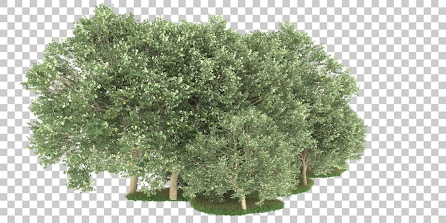 Wald auf transparentem Hintergrund. 3D-Rendering - Abbildung
