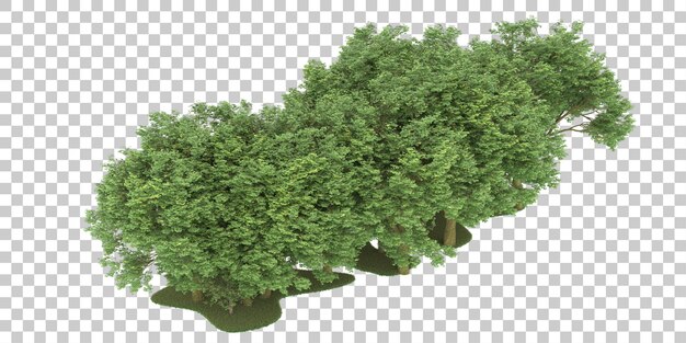 Wald auf transparentem Hintergrund. 3D-Rendering - Abbildung