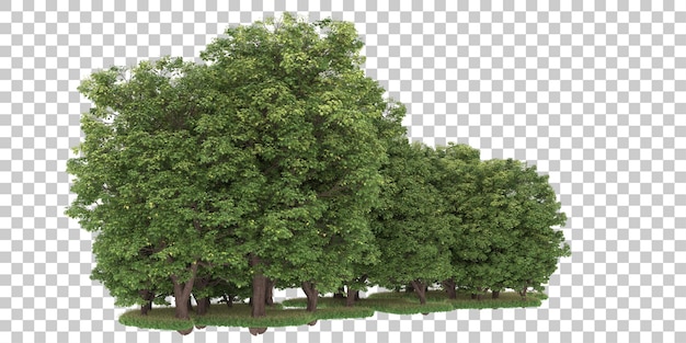 Wald auf transparentem Hintergrund. 3D-Rendering - Abbildung
