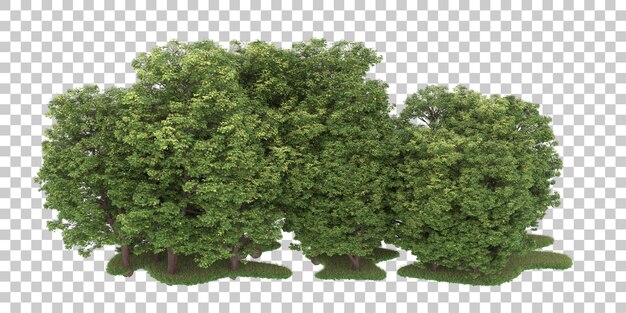 Wald auf transparentem Hintergrund. 3D-Rendering - Abbildung