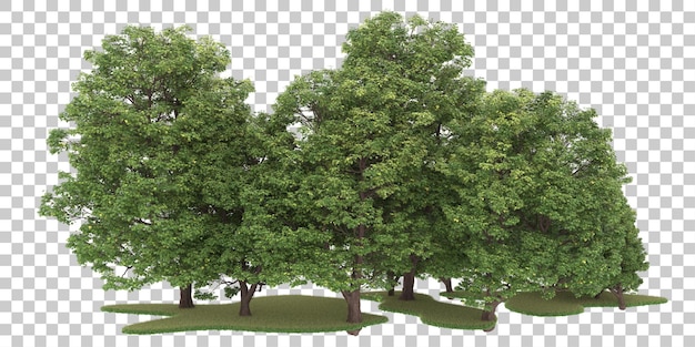 Wald auf transparentem Hintergrund. 3D-Rendering - Abbildung