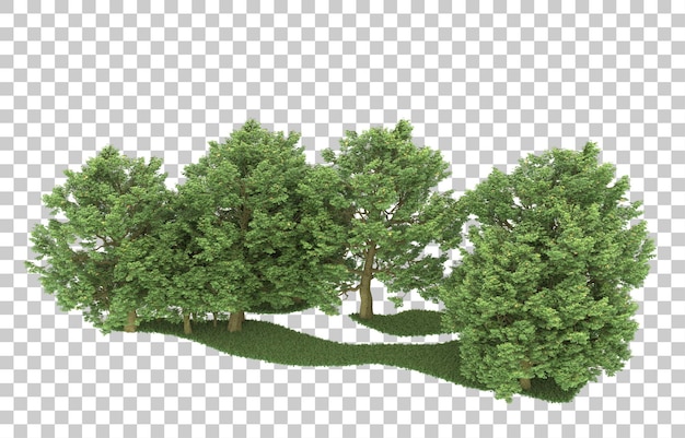 Wald auf transparentem hintergrund. 3d-rendering - abbildung