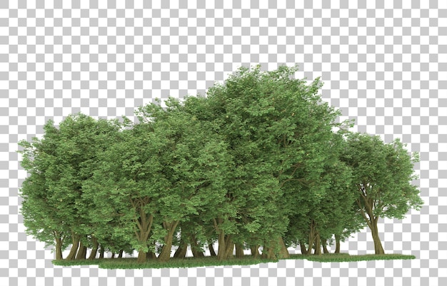 Wald auf transparentem hintergrund. 3d-rendering - abbildung