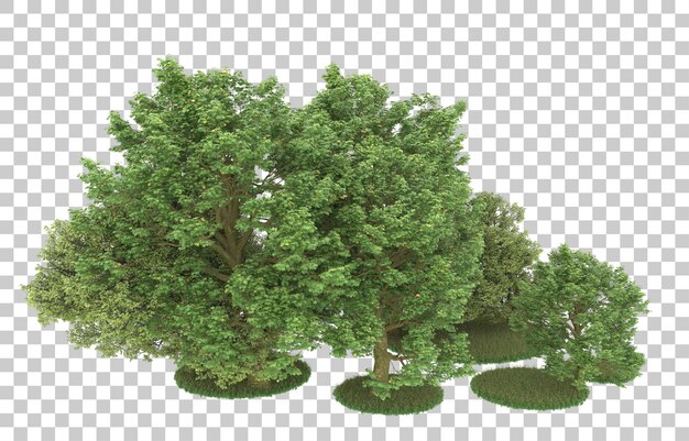 Wald auf transparentem Hintergrund. 3D-Rendering - Abbildung
