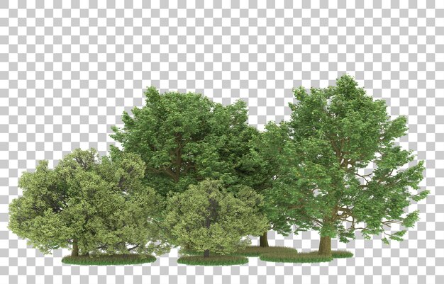 Wald auf transparentem Hintergrund. 3D-Rendering - Abbildung
