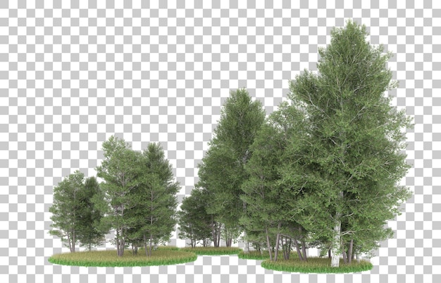 Wald auf transparentem hintergrund. 3d-rendering - abbildung