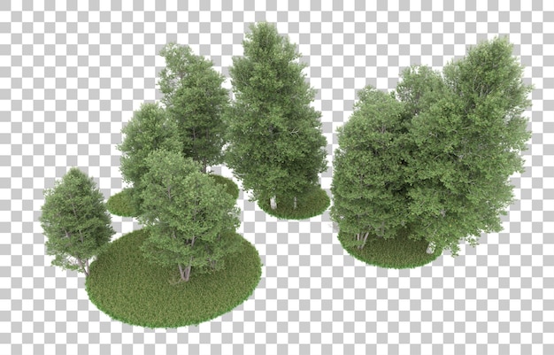 Wald auf transparentem hintergrund. 3d-rendering - abbildung