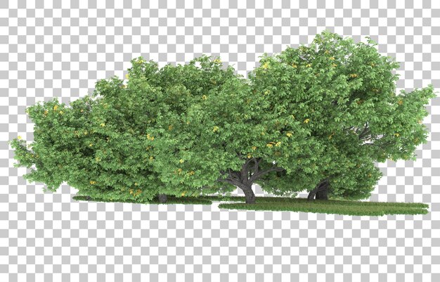 Wald auf transparentem Hintergrund. 3D-Rendering - Abbildung