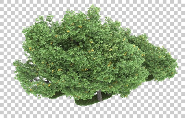Wald auf transparentem Hintergrund. 3D-Rendering - Abbildung