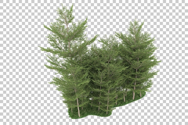 Wald auf transparentem Hintergrund. 3D-Rendering - Abbildung