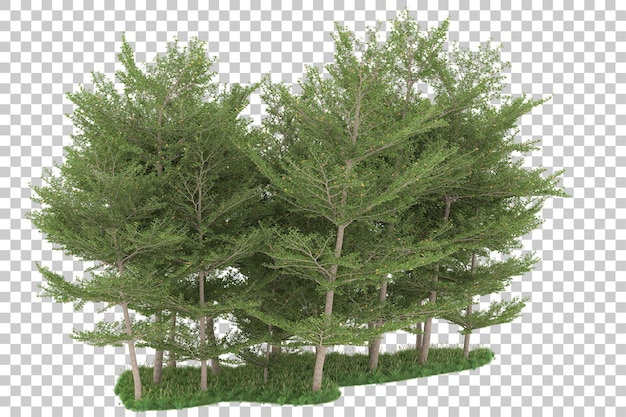 Wald auf transparentem Hintergrund. 3D-Rendering - Abbildung