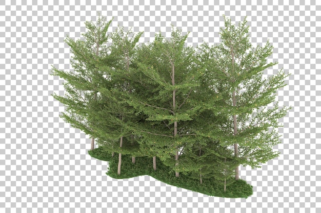 Wald auf transparentem Hintergrund. 3D-Rendering - Abbildung