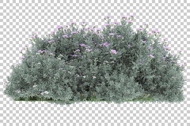 Wald auf transparentem Hintergrund. 3D-Rendering - Abbildung