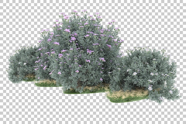 Wald auf transparentem Hintergrund. 3D-Rendering - Abbildung