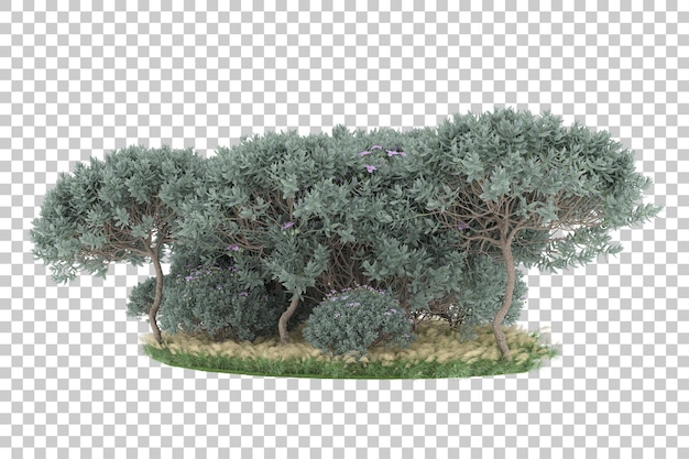 Wald auf transparentem Hintergrund. 3D-Rendering - Abbildung