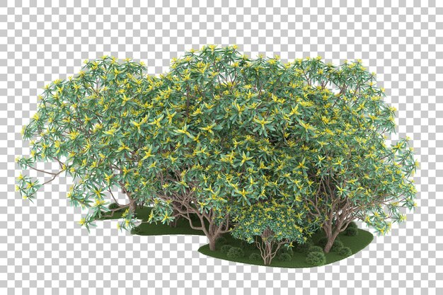 Wald auf transparentem Hintergrund. 3D-Rendering - Abbildung