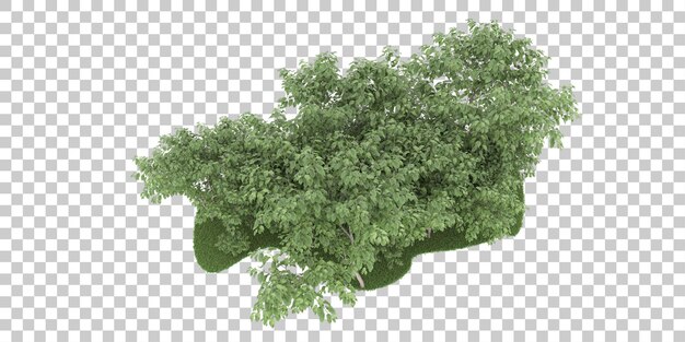 Wald auf transparentem Hintergrund. 3D-Rendering - Abbildung