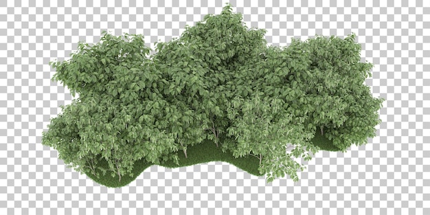 Wald auf transparentem Hintergrund. 3D-Rendering - Abbildung