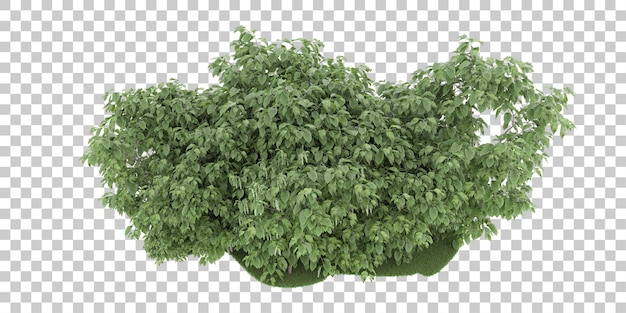 Wald auf transparentem Hintergrund. 3D-Rendering - Abbildung