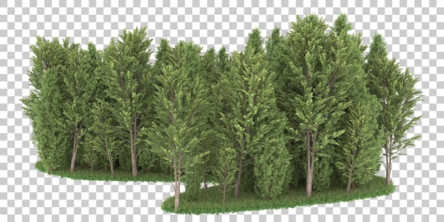 Wald auf transparentem hintergrund. 3d-rendering - abbildung
