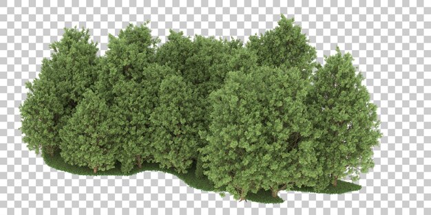 Wald auf transparentem Hintergrund. 3D-Rendering - Abbildung