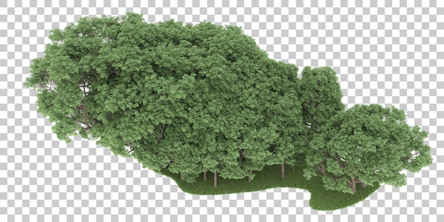 Wald auf transparentem Hintergrund. 3D-Rendering - Abbildung
