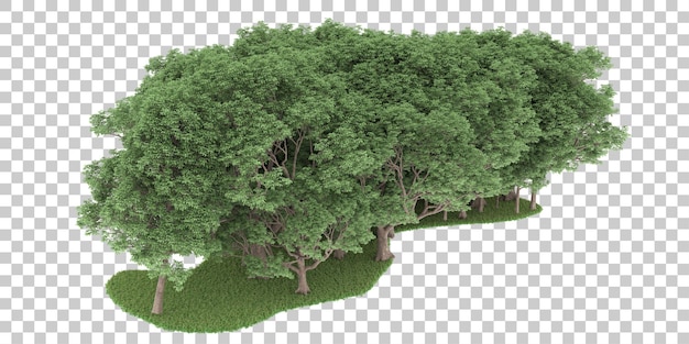Wald auf transparentem Hintergrund. 3D-Rendering - Abbildung