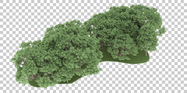 Wald auf transparentem Hintergrund. 3D-Rendering - Abbildung