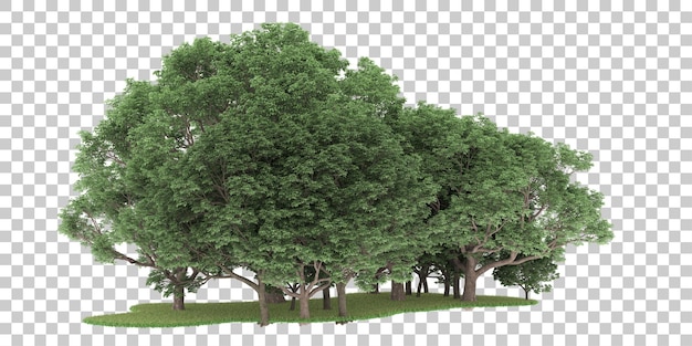 Wald auf transparentem Hintergrund. 3D-Rendering - Abbildung