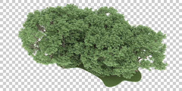 Wald auf transparentem Hintergrund. 3D-Rendering - Abbildung