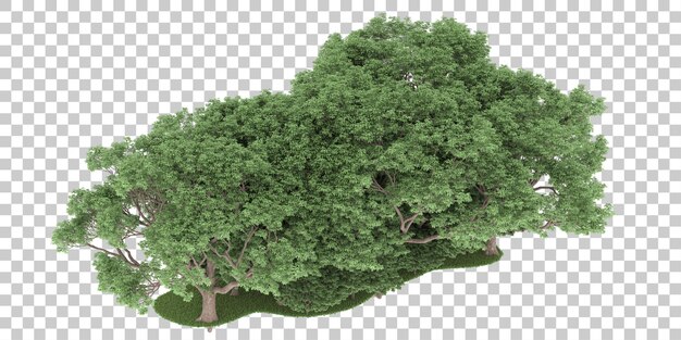 Wald auf transparentem hintergrund. 3d-rendering - abbildung