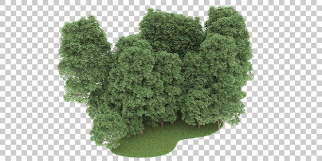 Wald auf transparentem Hintergrund. 3D-Rendering - Abbildung