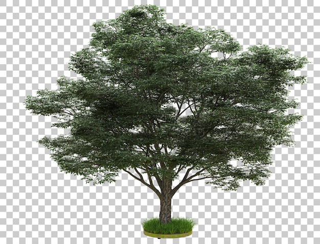 Wald isoliert auf transparentem Hintergrund 3D-Rendering-Illustration