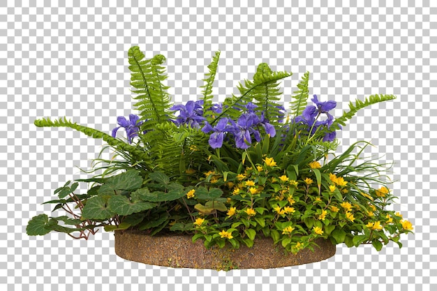 Wald isoliert auf transparentem Hintergrund 3D-Rendering-Illustration
