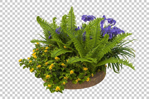 Wald isoliert auf transparentem Hintergrund 3D-Rendering-Illustration