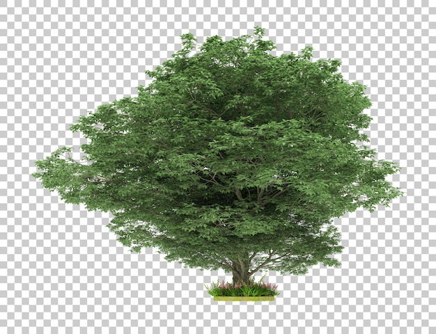 Wald isoliert auf transparentem Hintergrund 3D-Rendering-Illustration