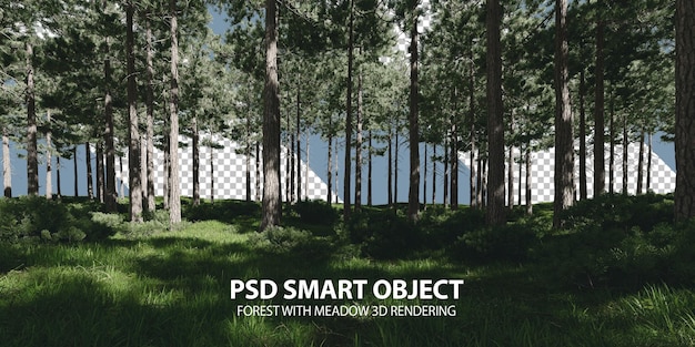 Wald mit wiese 3d-rendering von isolierten objekten
