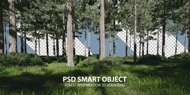 PSD wald mit wiese 3d-rendering von isolierten objekten