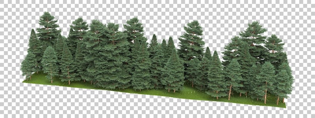 Waldanordnung auf transparentem Hintergrund 3D-Darstellung