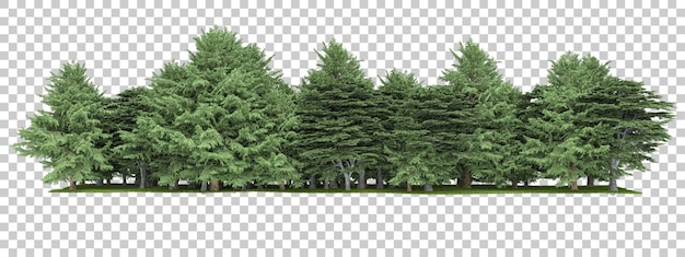 Waldanordnung auf transparentem Hintergrund 3D-Darstellung