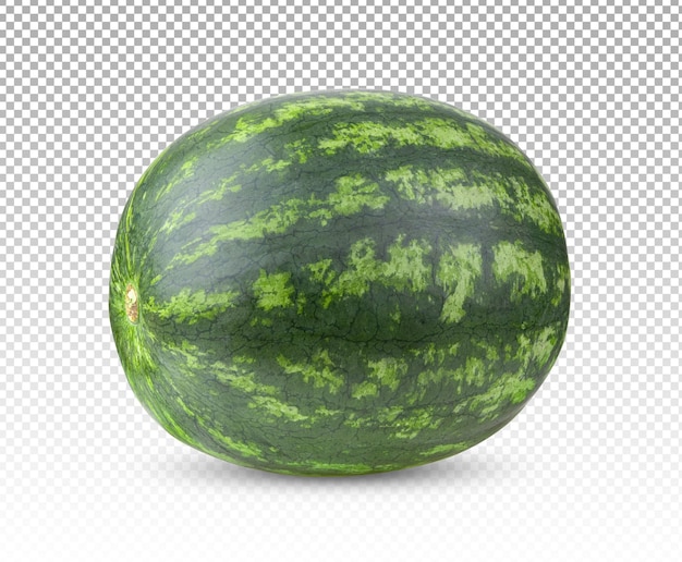 Wassermelone isoliert