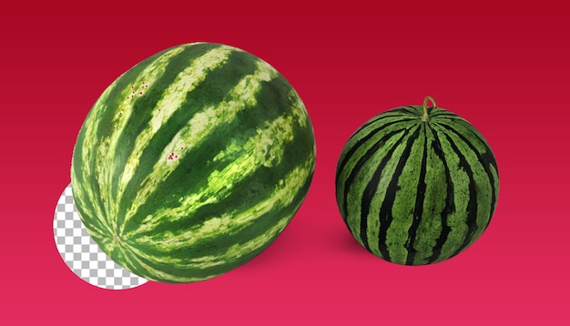 Wassermelonenfrüchte für tropische Szenenelemente