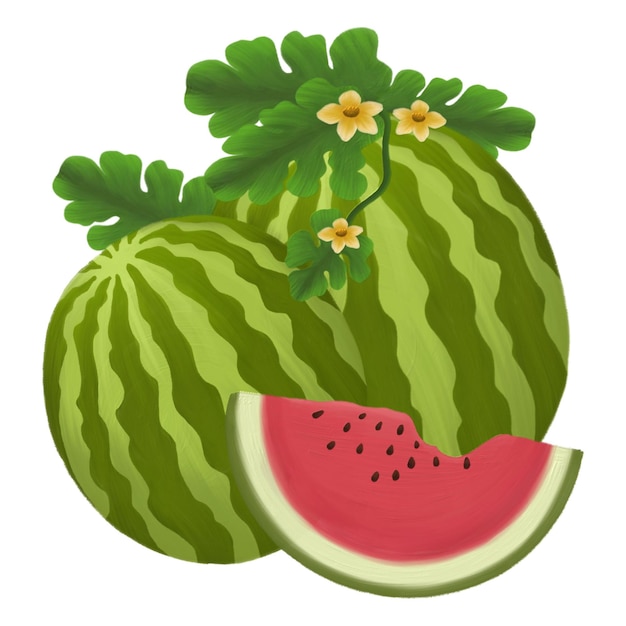 Wassermelonfrüchte